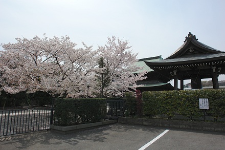 ���Q���̍�